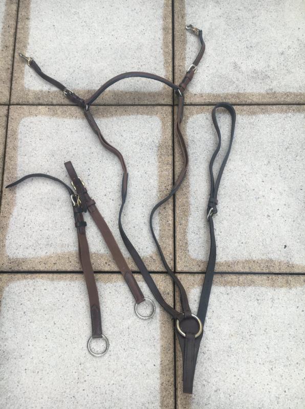 Image de: Collier de chasse/ martingale 