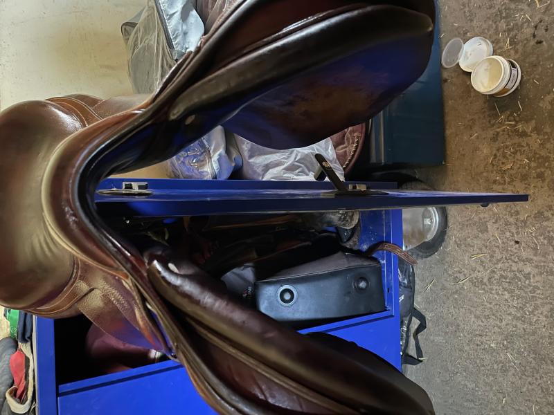 Image de: Selle CWD Obstacle 18''